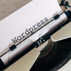 Essential Skills of WordPress Developer